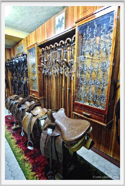 museo_delle_carrozze050