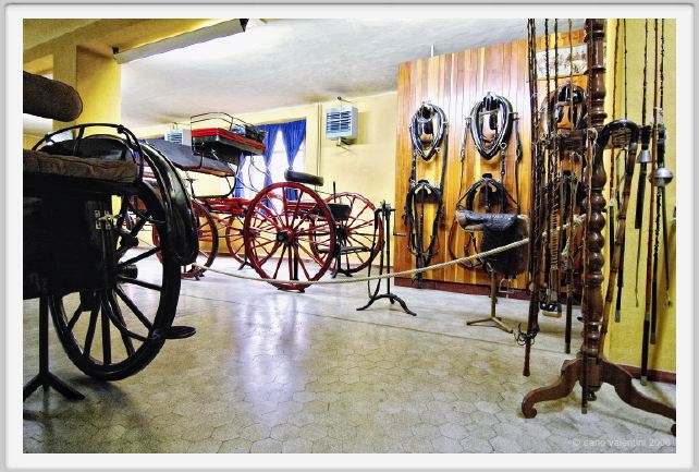 museo_delle_carrozze059