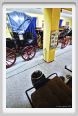 museo_delle_carrozze034