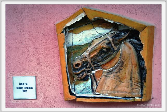 museo_trotto013
