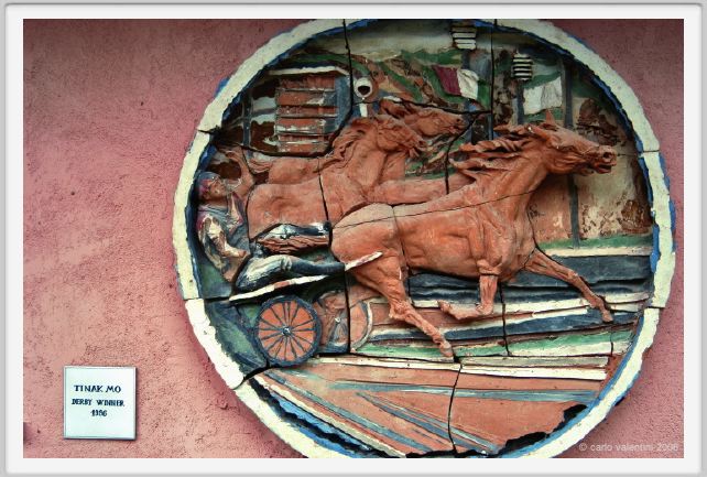 museo_trotto014