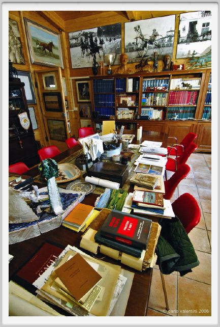 museo_trotto039