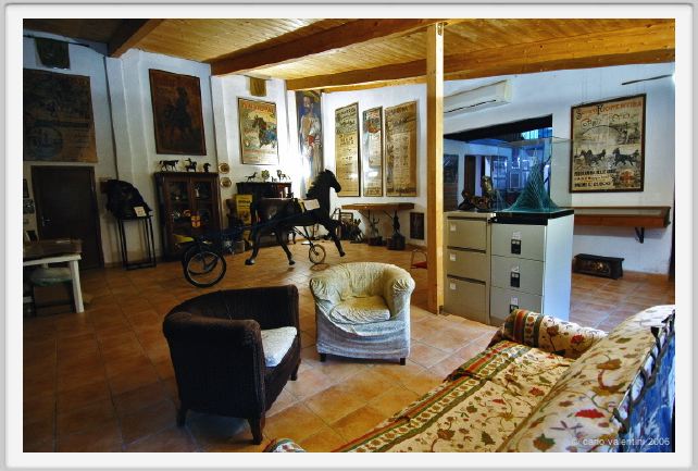 museo_trotto040