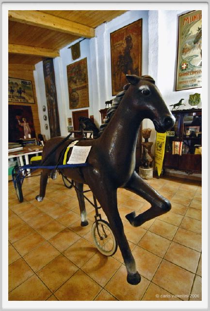 museo_trotto044