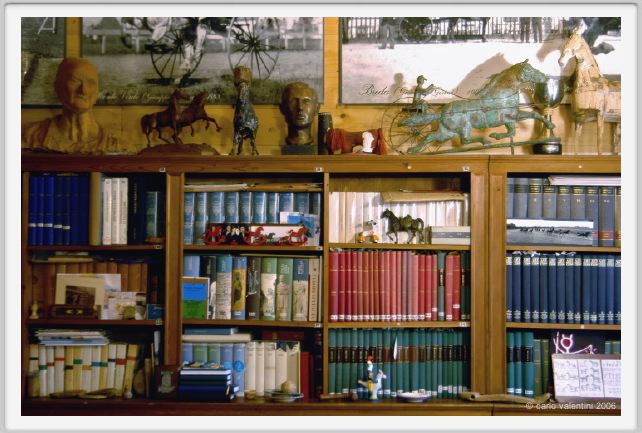 museo_trotto045