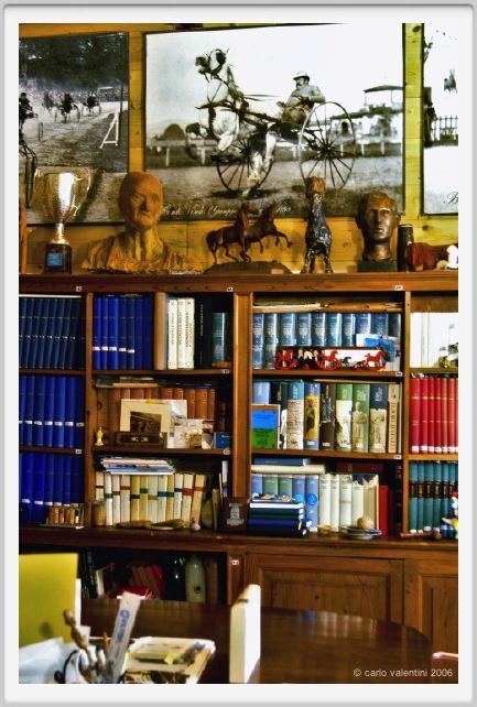 museo_trotto048