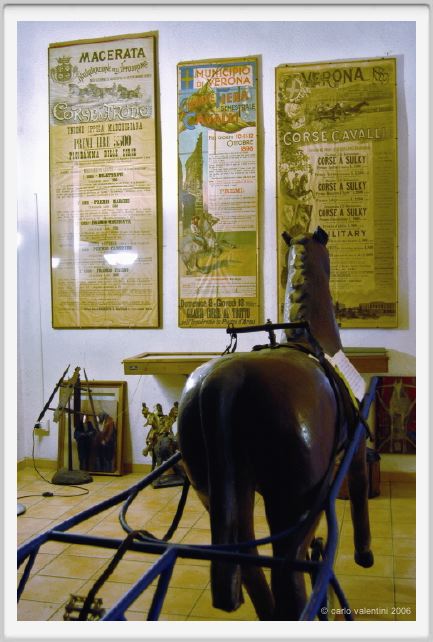 museo_trotto053