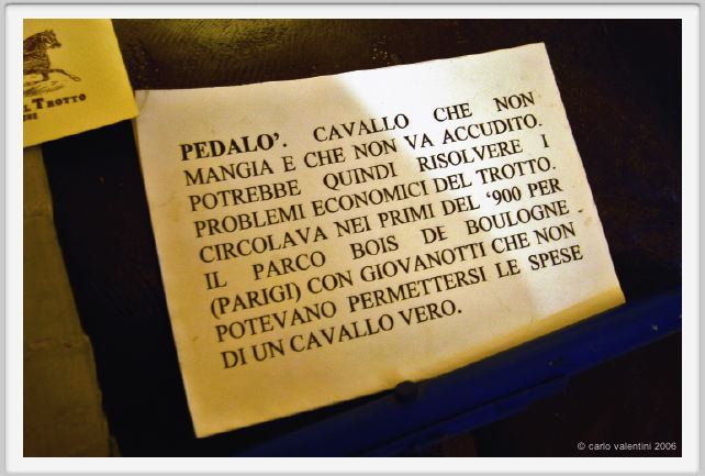 museo_trotto057