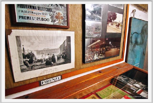 museo_trotto062