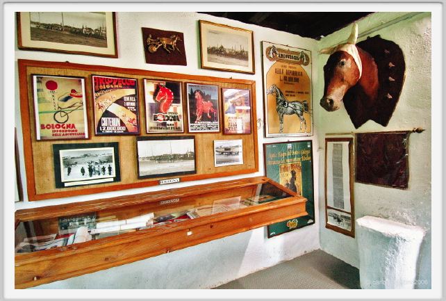 museo_trotto063