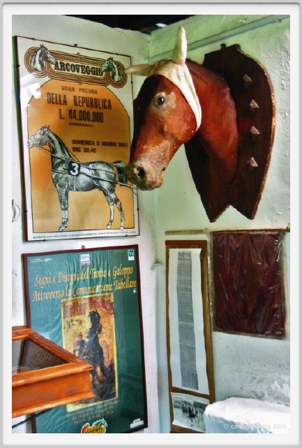 museo_trotto065