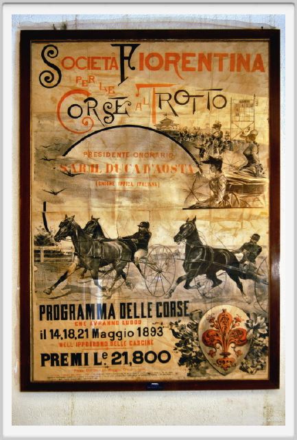 museo_trotto071