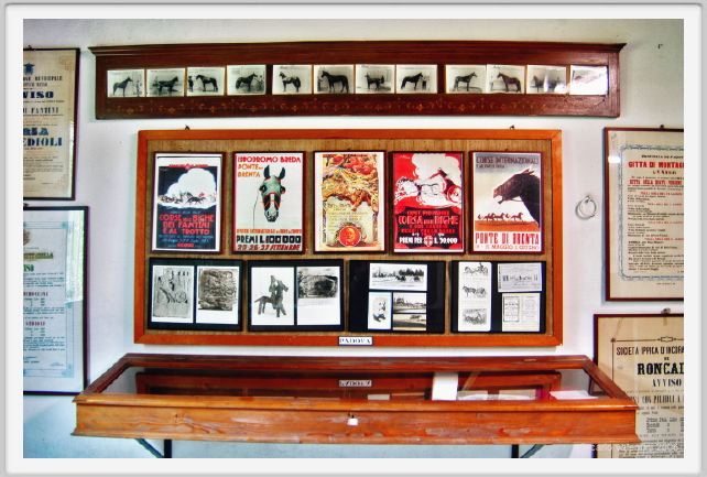 museo_trotto073
