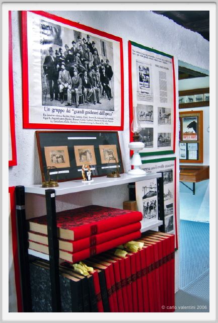 museo_trotto077