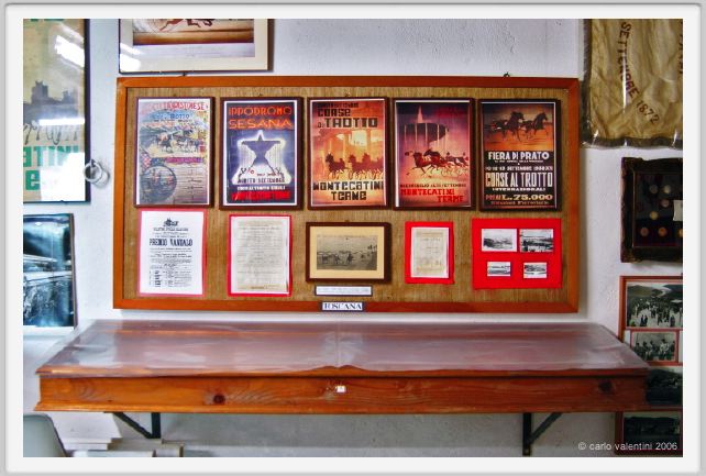 museo_trotto081
