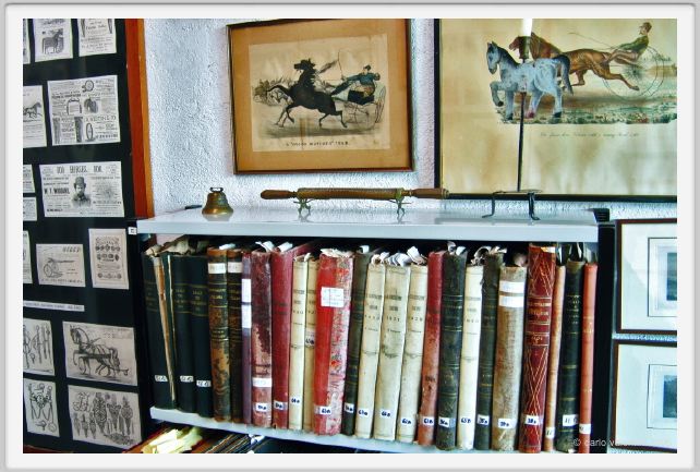 museo_trotto082