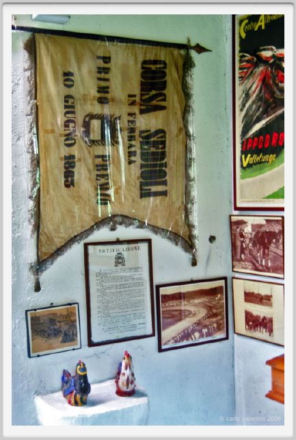 museo_trotto084