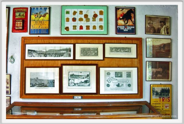 museo_trotto085