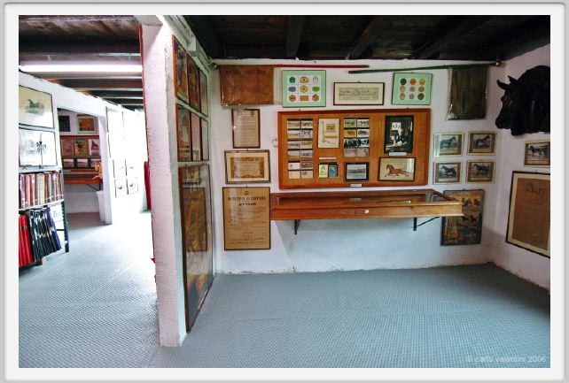 museo_trotto086