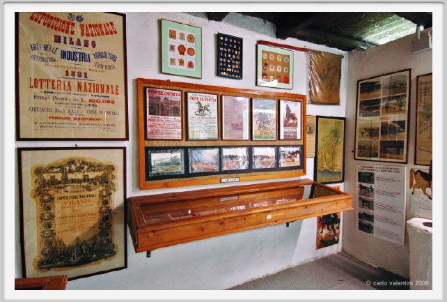 museo_trotto089