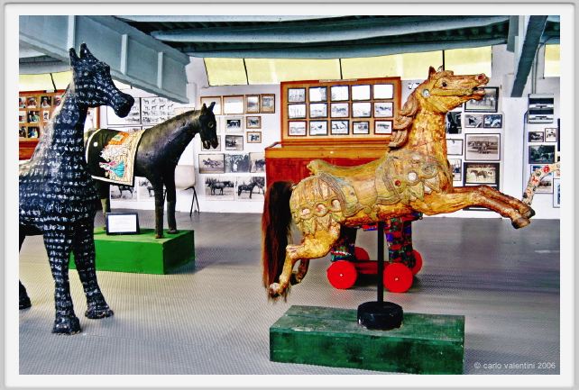 museo_trotto099