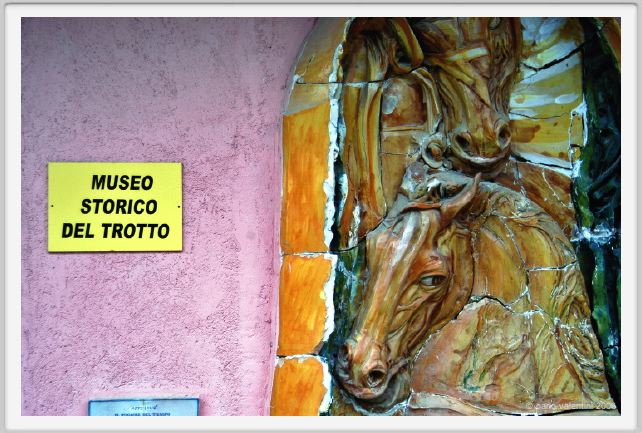 museo_trotto007