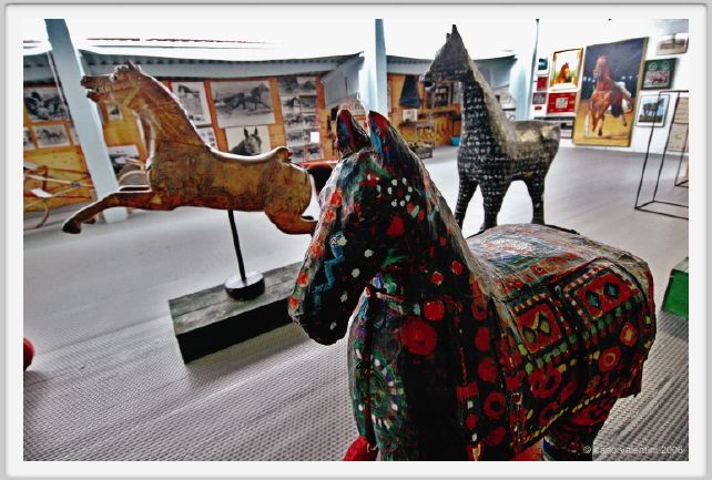 museo_trotto108