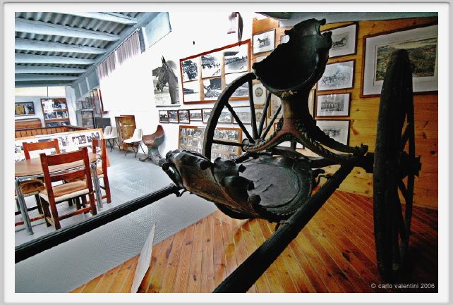 museo_trotto113
