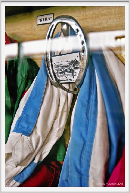 museo_trotto118