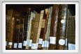 museo_trotto050