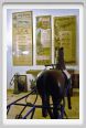 museo_trotto053