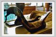 museo_trotto058