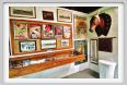 museo_trotto063