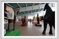 museo_trotto109