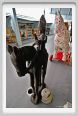 museo_trotto111
