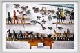 museo_trotto121