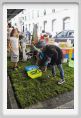 parking_day_fi099