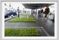 parking_day021