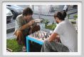 parking_day_fi040