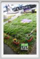 parking_day_fi057