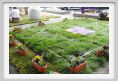 parking_day_fi058