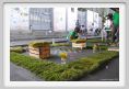parking_day_fi039