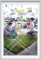 parking_day_fi052