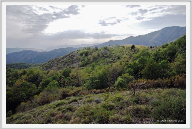 passo_biscia196