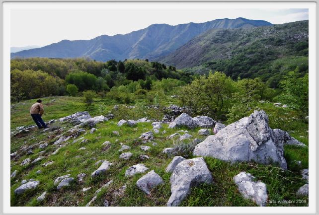 passo_biscia198