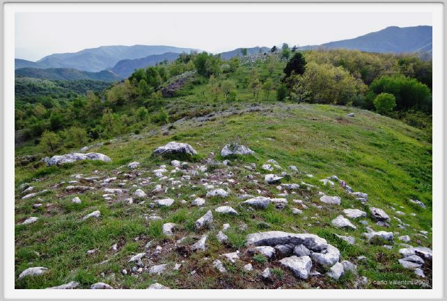 passo_biscia200