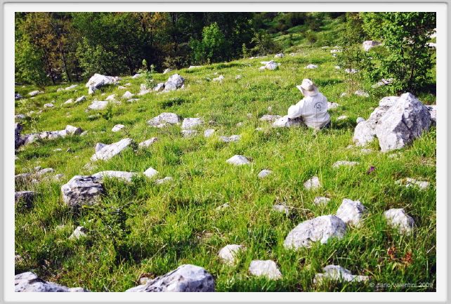 passo_biscia202
