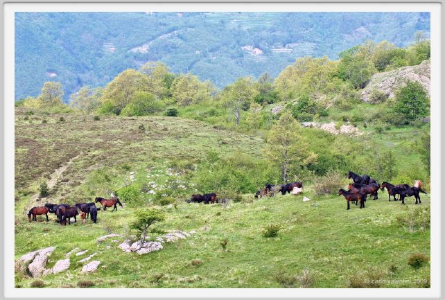 passo_biscia023