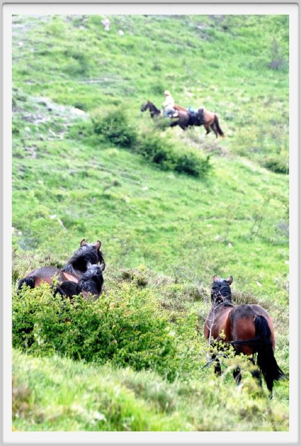 passo_biscia093
