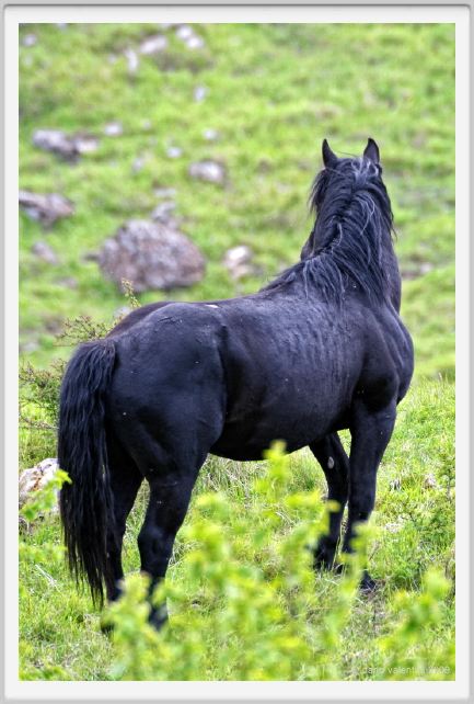 passo_biscia121